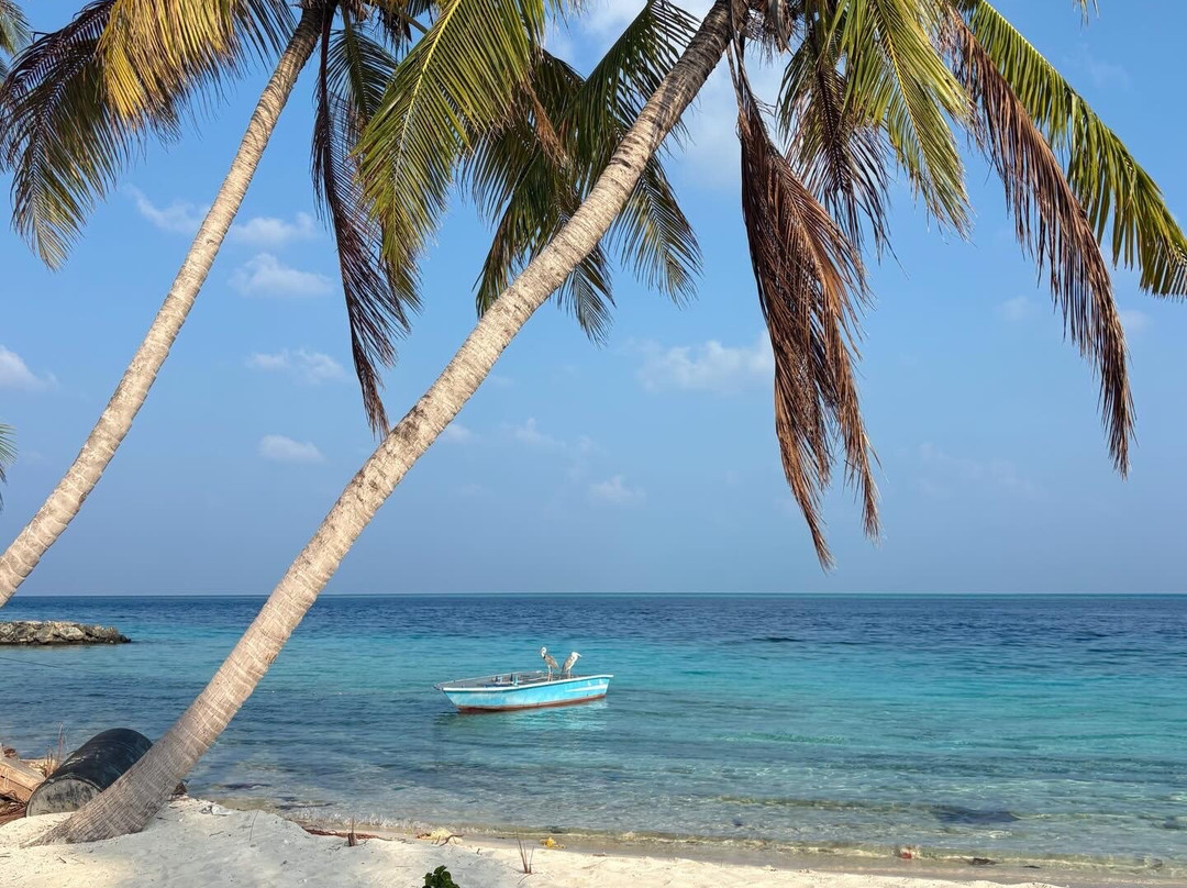 Into the Blue Lodge主图