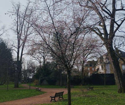 Parc Wilson-蒂永维尔必去景点