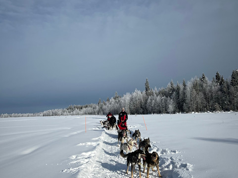 Era-Susi Huskies - Day Tours-Rukatunturi必去景点