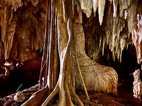 Cayman Crystal Caves-大开曼岛必去景点