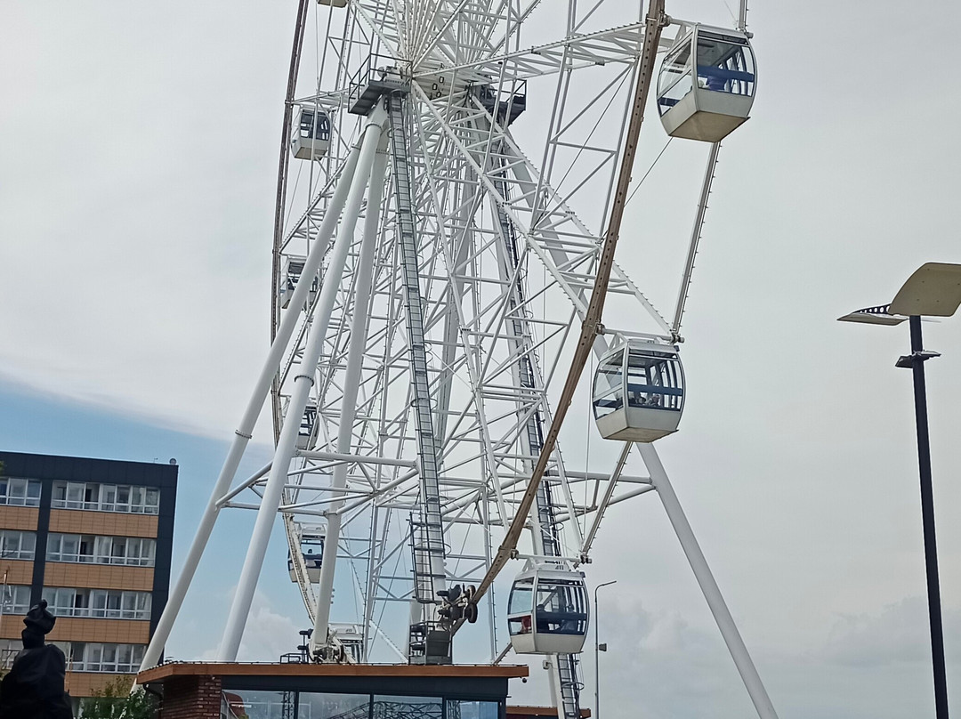 Ferris wheel "Eye of the Baltic"-泽列诺格拉茨克必去景点