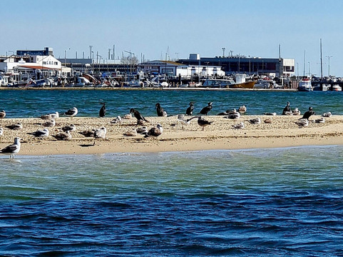 Neptune Boat Tours - Olhão-奥良必去景点