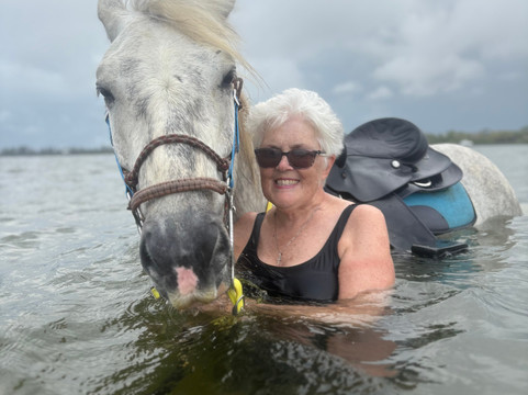 Florida Beach Horses-布雷登顿必去景点