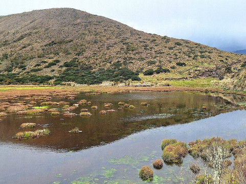 Montanas Colombianas-佩雷拉必去景点
