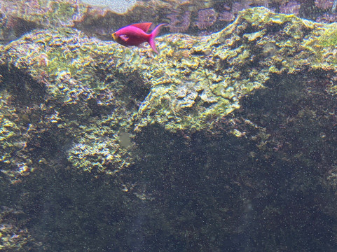 Klimahaus Bremerhaven-不来梅港必去景点