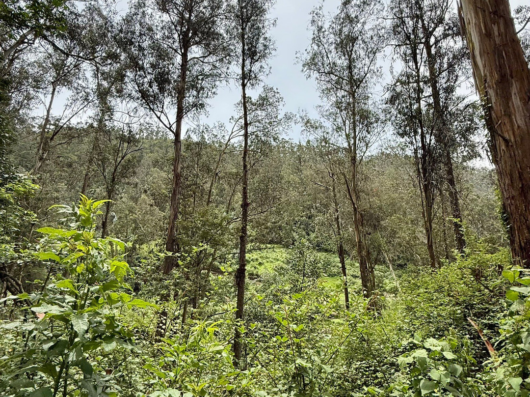 Cascada de  Peguche-Peguche必去景点