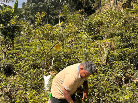 Ella Spice Garden Cooking School-埃勒必去景点