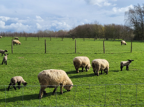 Oeselgem酒店住宿-Het Meikenshof