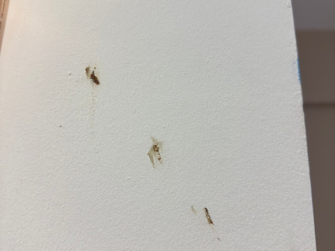 门户宫殿酒店主图