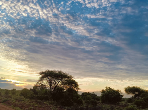 Mimmo Shaibu Kenya Safari-瓦塔木必去景点