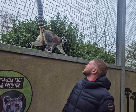 Lincoln Zoo-Newball必去景点