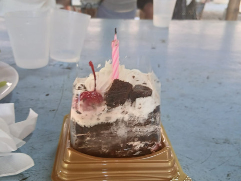 Kerchor Elephant Family Phuket-卡图必去景点