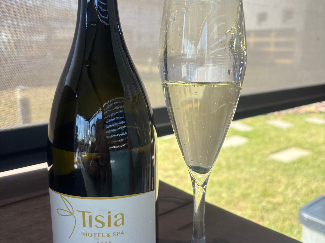 Tisia酒店及Spa主图