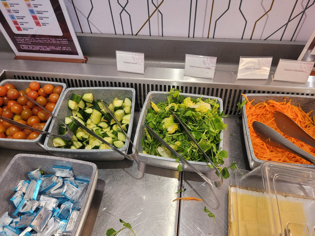 Plaza Premium Lounge Gatwick North Departures-霍利必去景点