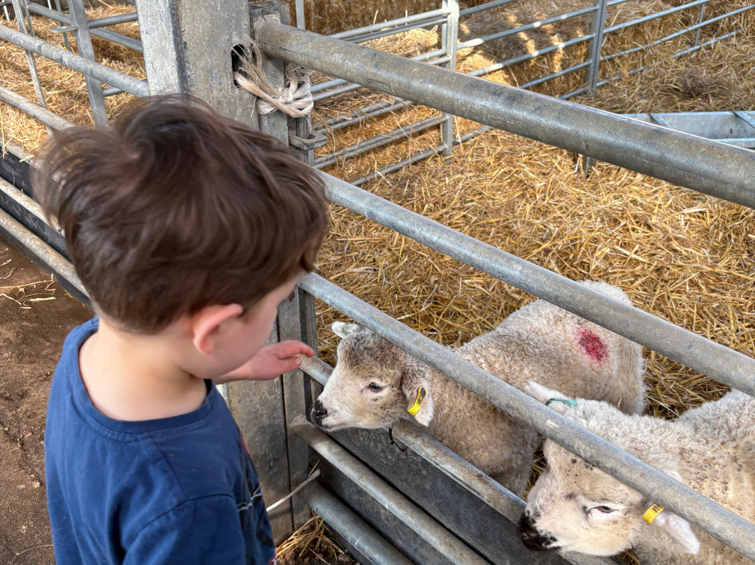 Thrift Farm-Whaddon必去景点