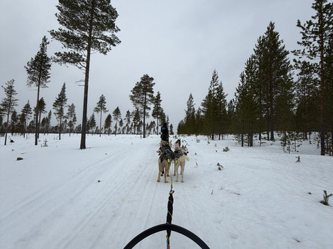 Happy Huskies-伊瓦洛必去景点