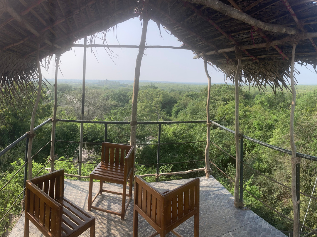 云端威尔帕图阿拉迪亚主图