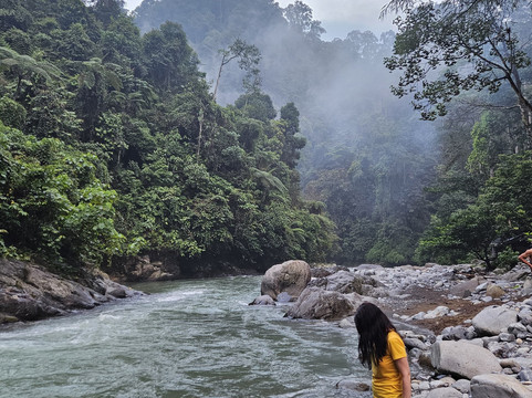 Sumatra Orangutan Explore-武吉拉旺必去景点