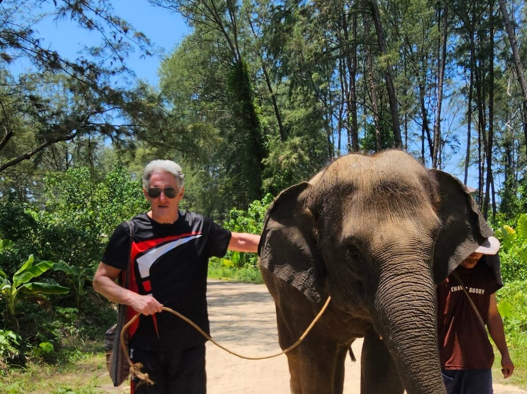 Khao Lak Elephant Home-拉克山必去景点