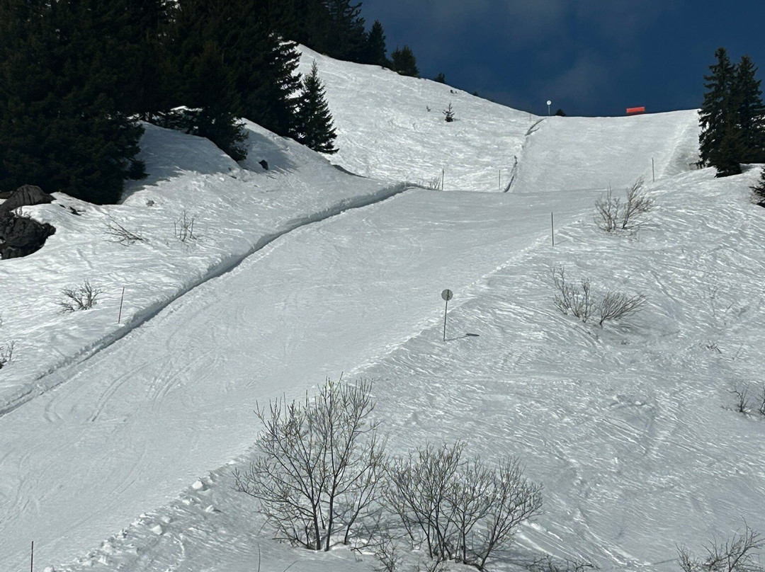 Praz de Lys Sommand-Taninges必去景点