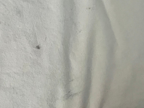 温德姆戴斯酒店 罗阿诺克/霍林斯 靠近I-81主图