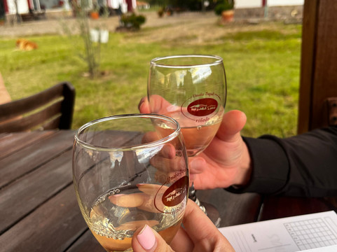 Vinedo Umana Dajud-莱瓦镇必去景点