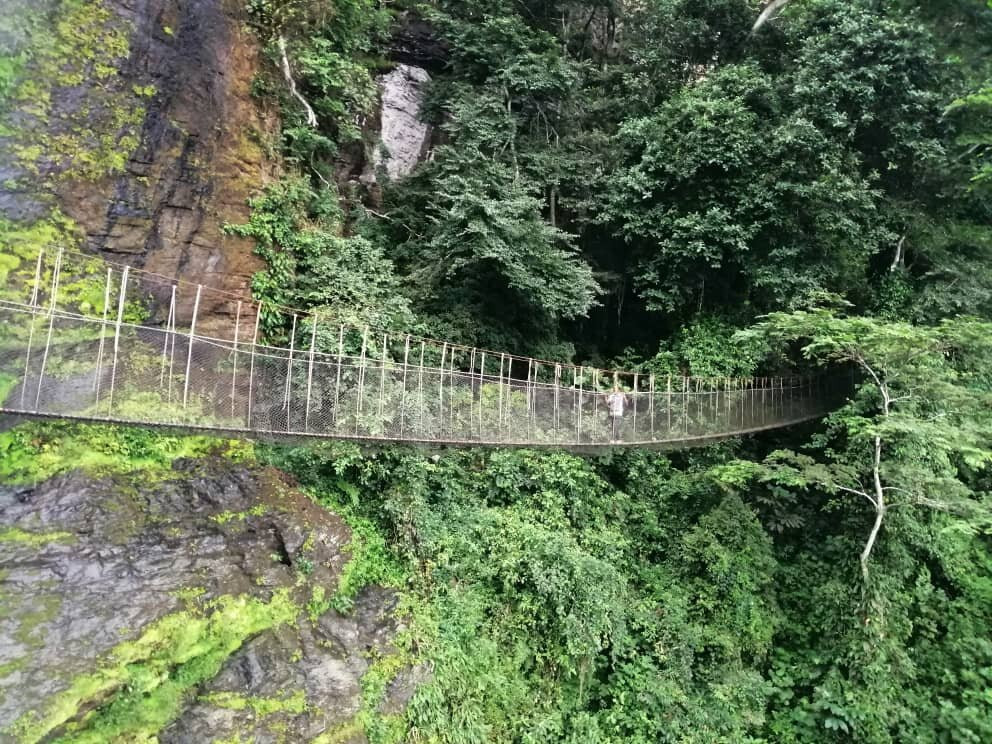 Canopy Walkway Ote Waterfalls-Amedzofe必去景点