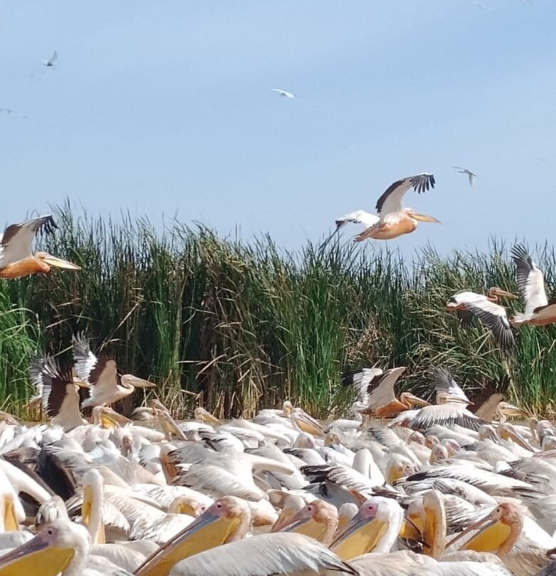 Soleil Casamance-开普史基林必去景点