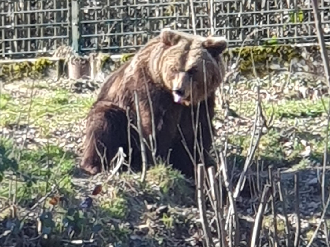 Heimat-Tierpark Olderdissen-比勒费尔德必去景点