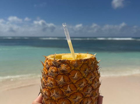 Franconero Escursioni-Bayahibe必去景点