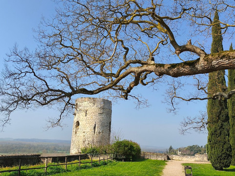 Forteresse Royale De Chinon-希农必去景点