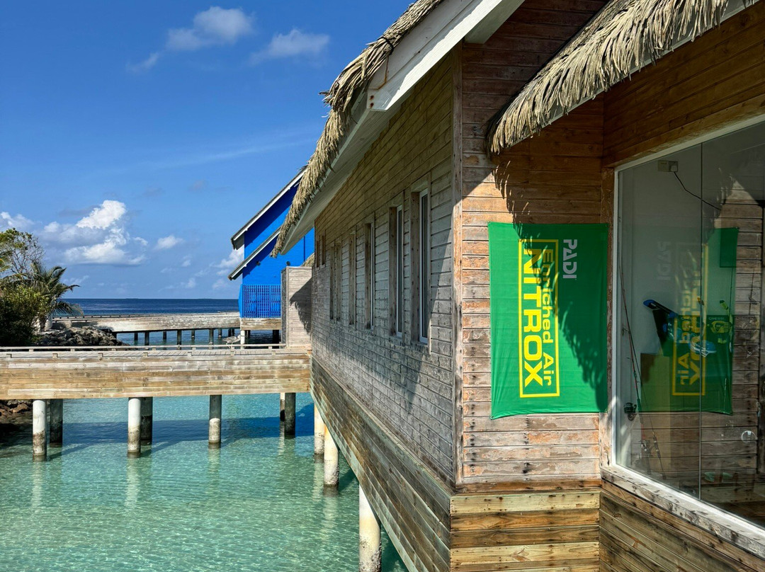 Blue Wave Ifuru By Dive Butler At Ifuru Island Maldives-Ifuru必去景点