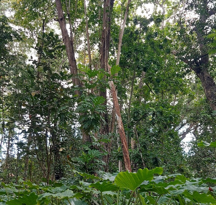 Veuve Nature Reserve-拉迪格岛必去景点