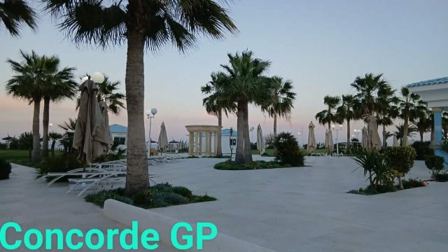 协和绿园宫殿酒店-官方