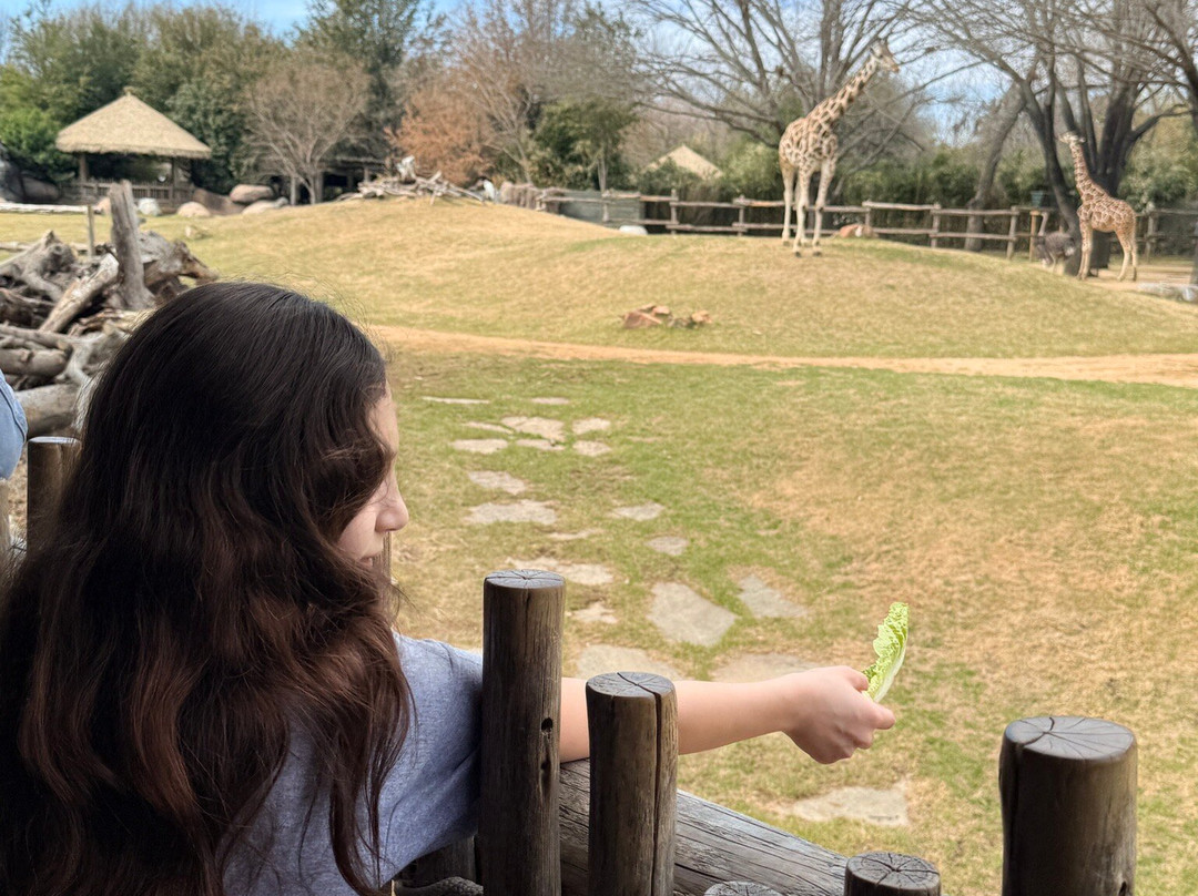 Fort Worth Zoo-沃思堡必去景点