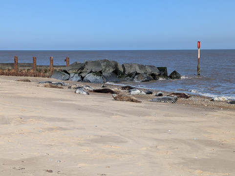 Horsey Beach-Horsey必去景点