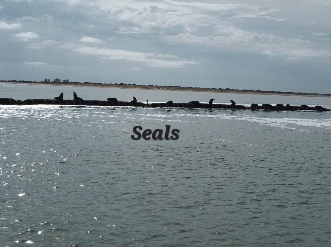 Spirit of the Coorong Cruises-Goolwa必去景点