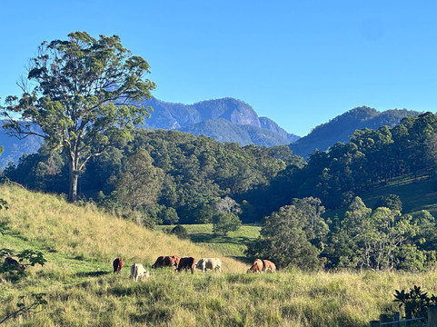 希尔克雷斯特山景休闲旅馆主图