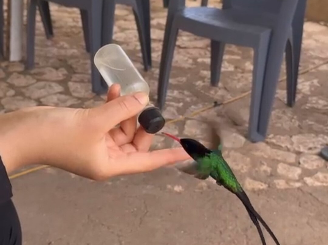 罗克兰兹鸟类保护区-Wiltshire必去景点