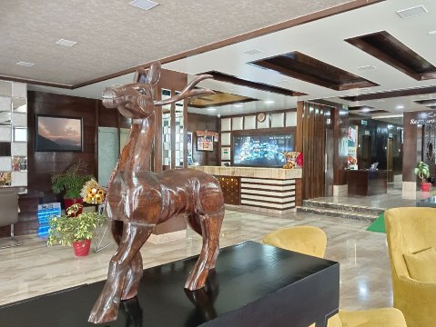 卡特拉费恩公寓-官方