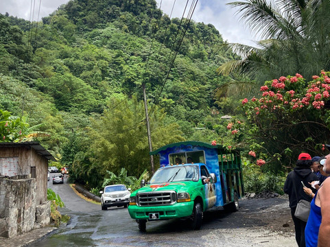 Trafalgar Falls-Morne Trois Pitons National Park必去景点