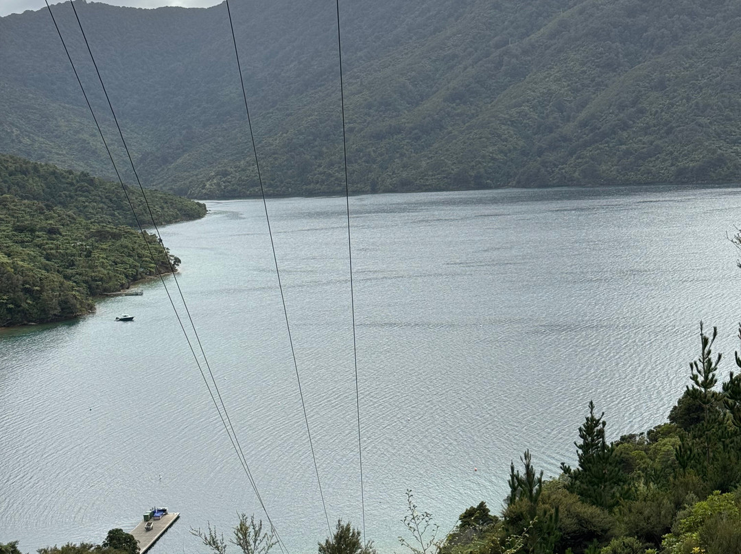 Beachcomber Cruises-皮克顿必去景点