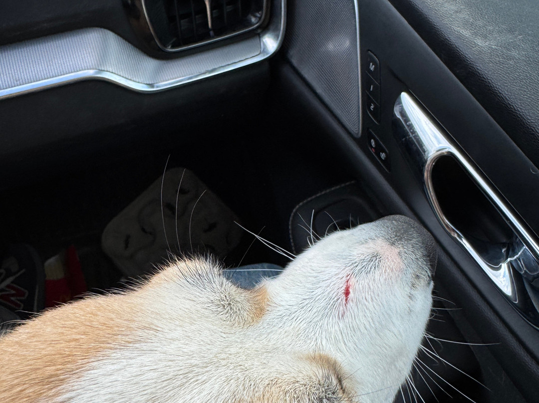 Cherokee Ruby & Sapphire Mine-Franklin必去景点