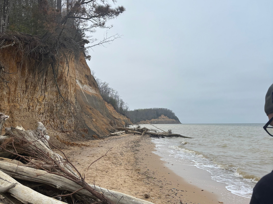 Calvert Cliffs State Park-Lusby必去景点