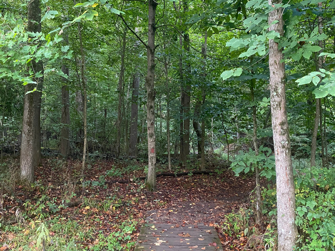 Salt Fork State Park-Cambridge必去景点