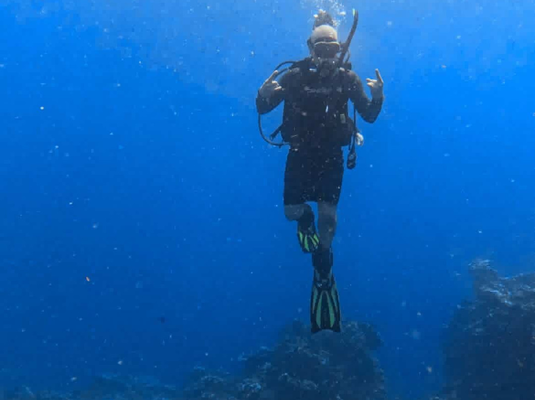 Sealion Dive Center-Los Mochis必去景点