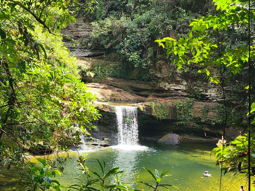 Aves y Aventuras en Putumayo-Mocoa必去景点
