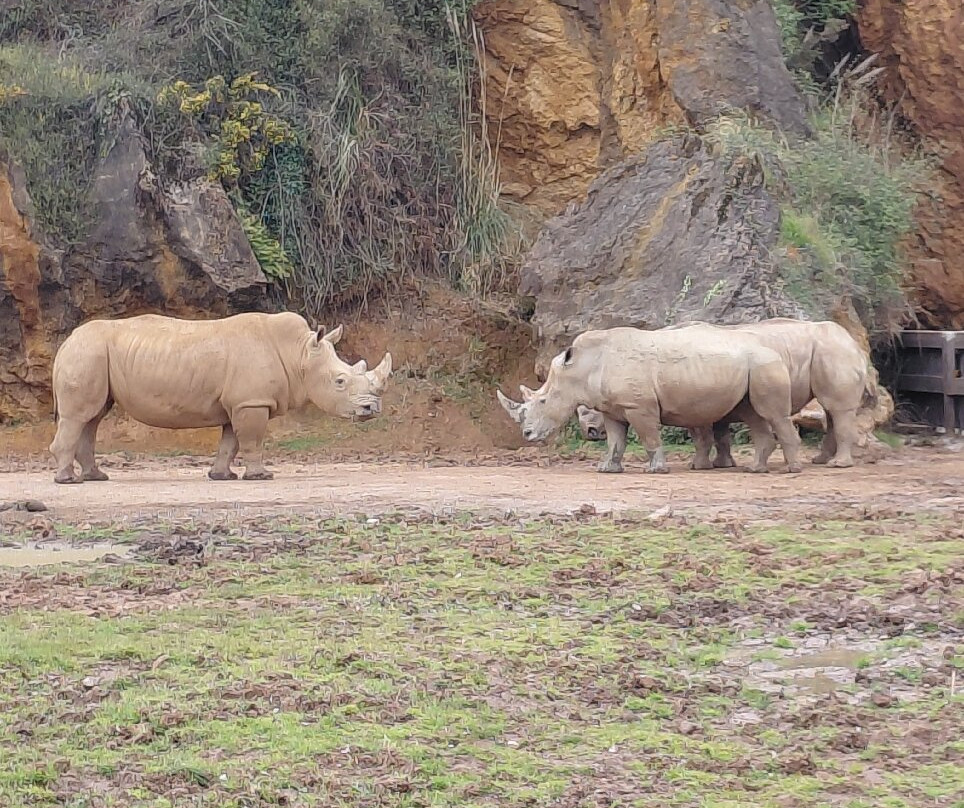 Parque de la Naturaleza de Cabarceno-Obregon必去景点