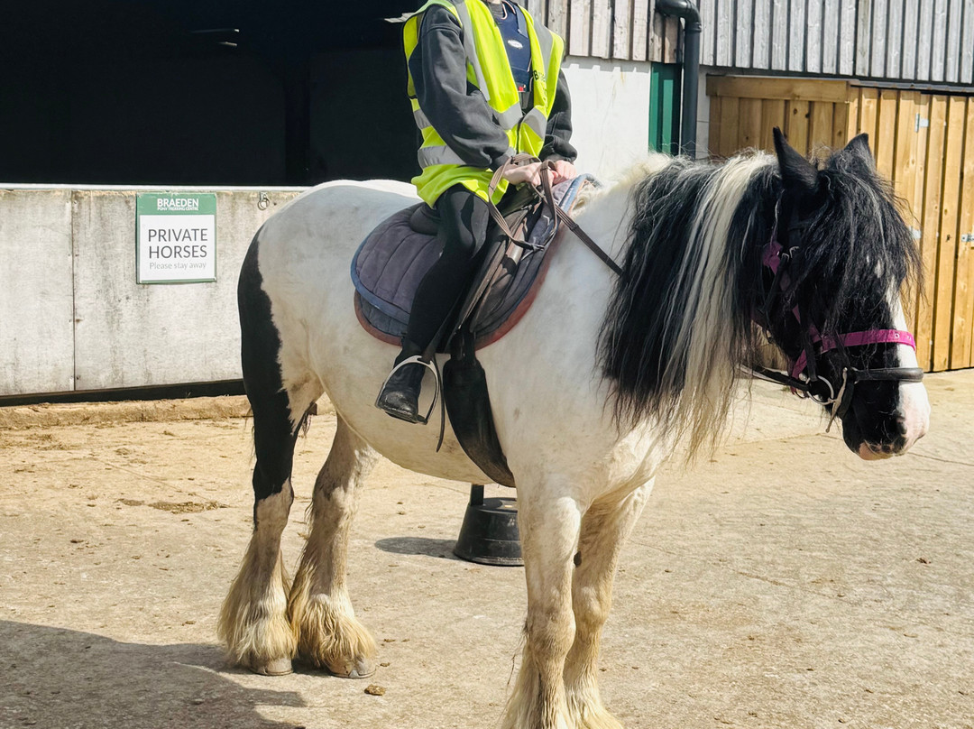 Braeden Pony Trekking-兰开斯特必去景点