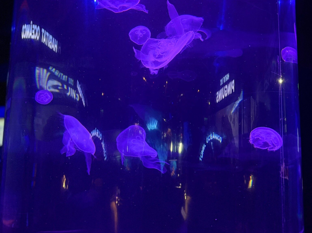 Oceanic Aquarium-康泊琉海水浴场必去景点